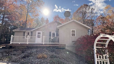 Lake George - Clare County Home For Sale in Harrison Michigan