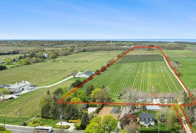 Set along the iconic agricultural stretch of the Main Road in - photo 2