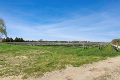 Set along the iconic agricultural stretch of the Main Road in - photo 6
