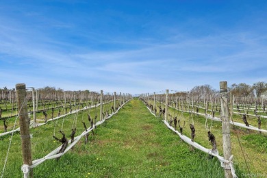 Set along the iconic agricultural stretch of the Main Road in - photo 7