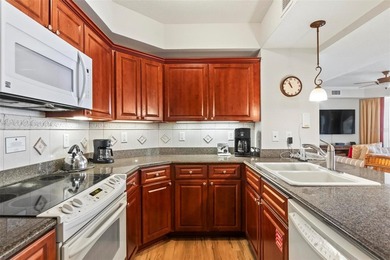 Experience resort-style living in this beautifully furnished - photo 19