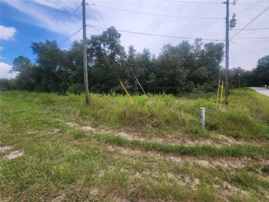 Lake Lot For Sale in Dunnellon, Florida