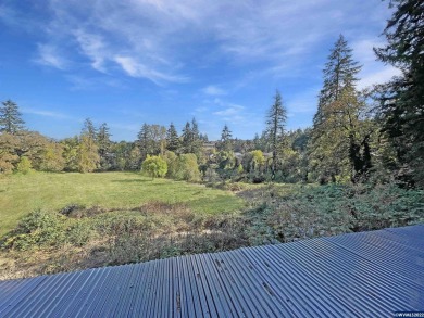 This beautiful acreage has views, pond, and treed setting with