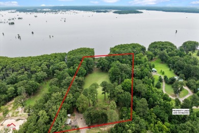 453 Wiggins Road - Lake Home For Sale in Karnack, Texas