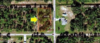 Lake Weohyakapka Lot For Sale in Indian Lake Estates Florida