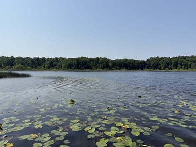 Welcome to Chenango Lake Preserve, a rare gem in Livingston - photo 21