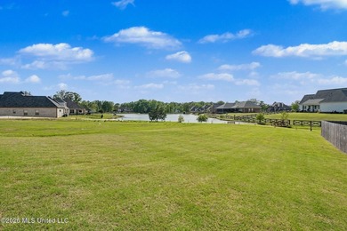 This Southaven showstopper offers beautiful water views right - photo 29