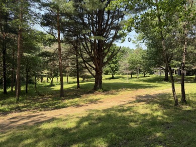 Welcome to Chenango Lake Preserve, a rare gem in Livingston - photo 29