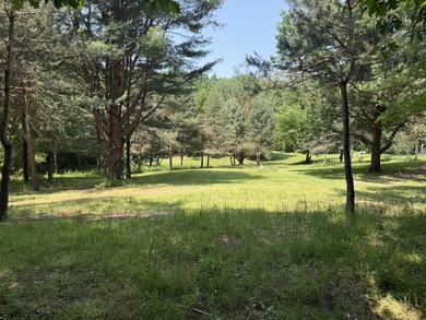 Welcome to Chenango Lake Preserve, a rare gem in Livingston - photo 30