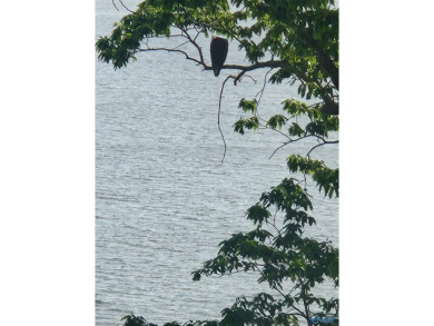 Wheeler Lake Lot For Sale in Rogersville Alabama