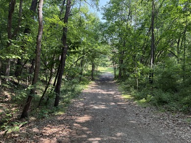 Welcome to Chenango Lake Preserve, a rare gem in Livingston - photo 32