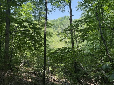 Welcome to Chenango Lake Preserve, a rare gem in Livingston - photo 33