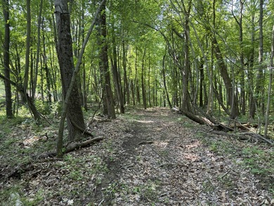 Welcome to Chenango Lake Preserve, a rare gem in Livingston - photo 34