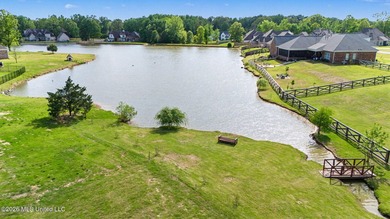 This Southaven showstopper offers beautiful water views right - photo 35