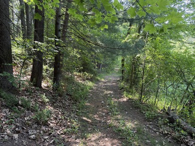 Welcome to Chenango Lake Preserve, a rare gem in Livingston - photo 35