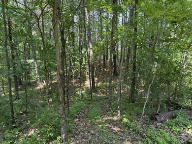 Welcome to Chenango Lake Preserve, a rare gem in Livingston - photo 36