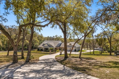 (private lake, pond, creek) Home For Sale in Mount Dora Florida