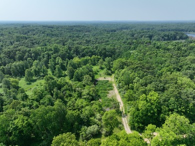 Welcome to Chenango Lake Preserve, a rare gem in Livingston - photo 47