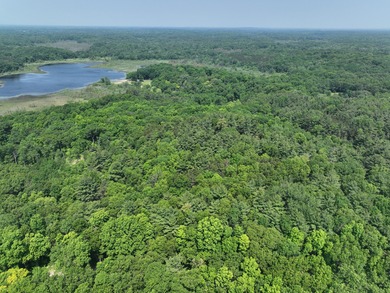 Welcome to Chenango Lake Preserve, a rare gem in Livingston - photo 48