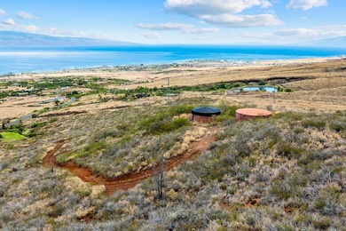 Perched atop 45 acres of Launiupoko's most coveted slopes, this - photo 49
