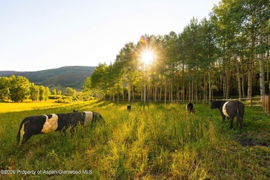 Lincoln Ranch, a breathtaking 544-acre estate in the Snowmass - photo 2