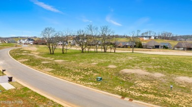 Lake Lot For Sale in Loudon, Tennessee