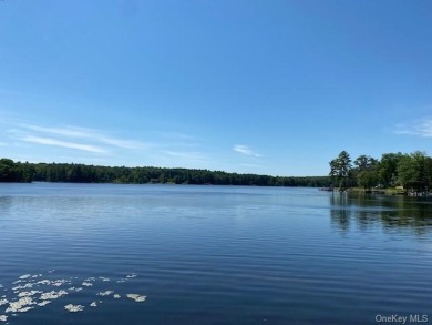 Mohican Lake Lot For Sale in Glen Spey New York