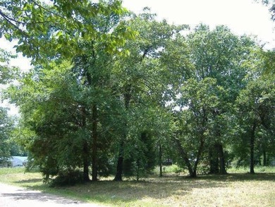 Lake Lot For Sale in Tool, Texas