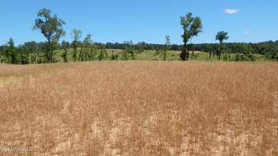 (private lake, pond, creek) Acreage For Sale in Grenada Mississippi