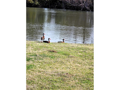 Just minutes from Lake Whitney, McCown Valley Park, day use and - photo 30