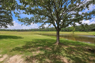 This completely remodeled 4 bedroom 2 bath, fully furnished home - photo 38