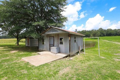 This completely remodeled 4 bedroom 2 bath, fully furnished home - photo 39