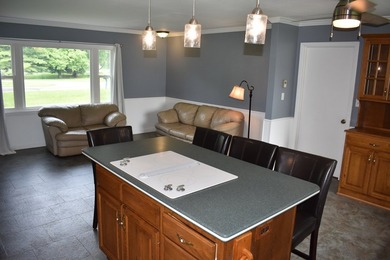 Well cared for, vinyl sided Lakefront home with 94' of frontage - photo 3
