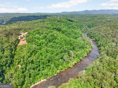 Rare opportunity in Coosawattee River Resort to own a true - photo 50