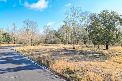 Welcome to River Pointe Estates on the Biloxi River! Lot 6 - photo 11