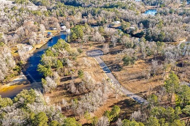 Welcome to River Pointe Estates on the Biloxi River! Lot 6 - photo 12