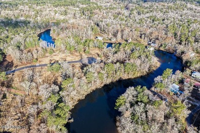 Welcome to River Pointe Estates on the Biloxi River! Lot 6 - photo 13