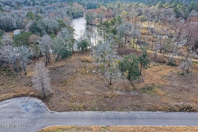 Welcome to River Pointe Estates on the Biloxi River! Lot 6 - photo 14