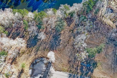 Welcome to River Pointe Estates on the Biloxi River! Lot 6 - photo 15