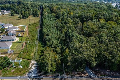 10.04 acres located within the Town of Kilmarnock! This - photo 17