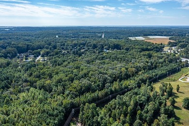 10.04 acres located within the Town of Kilmarnock! This - photo 22