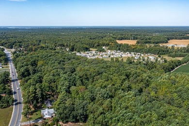 10.04 acres located within the Town of Kilmarnock! This - photo 25