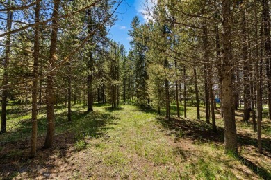 Hebgen Lake Lot For Sale in West Yellowstone Montana