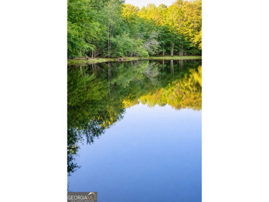 Burch Lake Acreage For Sale in Fayetteville Georgia