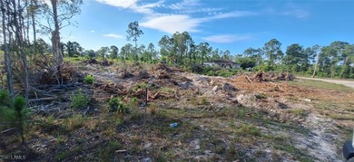 Lehigh Acres Area Lot For Sale in Lehigh Acres Florida