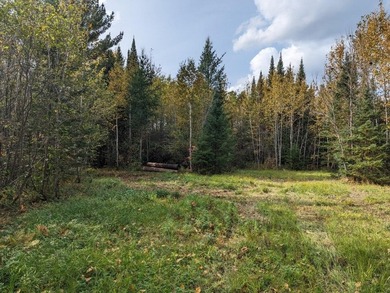 Escape to the great outdoors with this 37-acre recreational and - photo 1