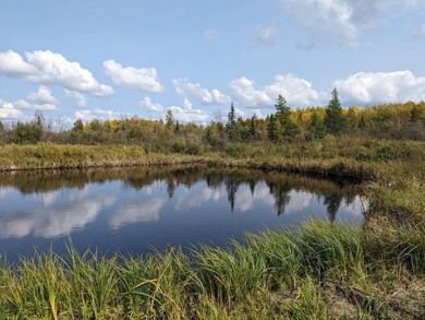 Escape to the great outdoors with this 37-acre recreational and - photo 5