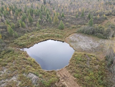 Escape to the great outdoors with this 37-acre recreational and - photo 6