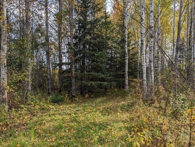 Escape to the great outdoors with this 37-acre recreational and - photo 7