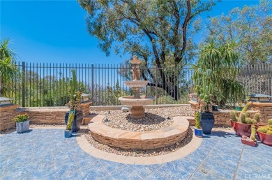 Hidden Gem for your Life-Style! Move-in Ready. Unobstructed view - photo 13